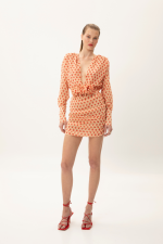 Strawberry Mini Dress