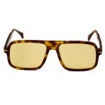 Solaris - Honey - Image 3