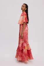 Sunkissed Dress - Image 4