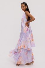 Sylia Long Dress - Image 4