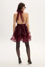 Margot Organtza Dress -Μπορντό - Image 3